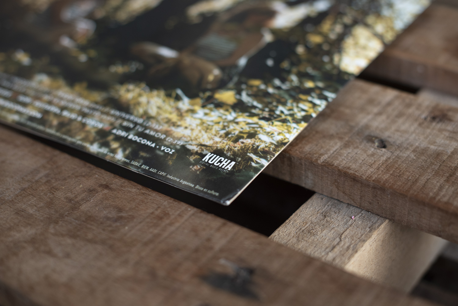 BOCONAS-APABURE-2018-VINILO-ALBUMART-05